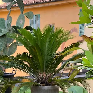 Il Terrazzo Di San Colombano Appartamento